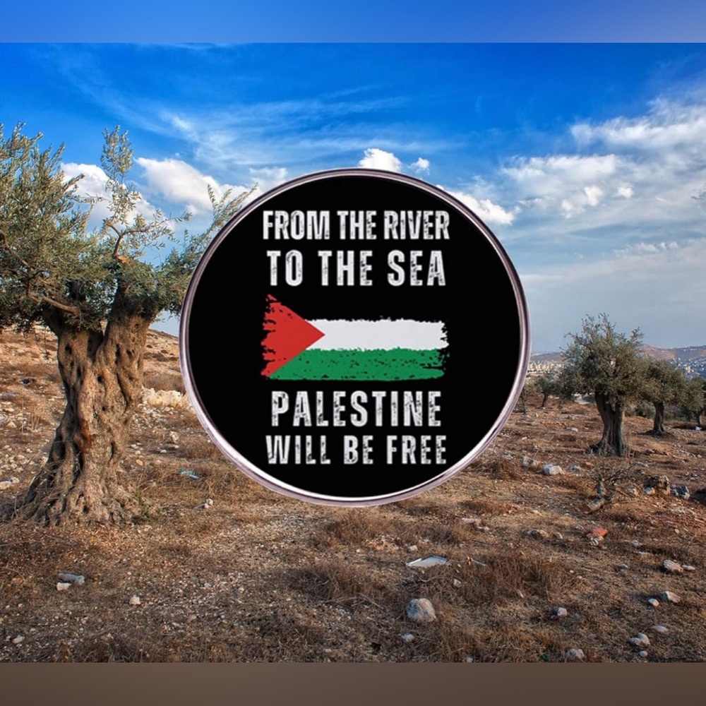 From the River To the Sea Palestine Will Be Free Enamel Pin Palestine Flag Brooc - Picture 5 of 5